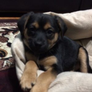 Meet your Posher, Florance